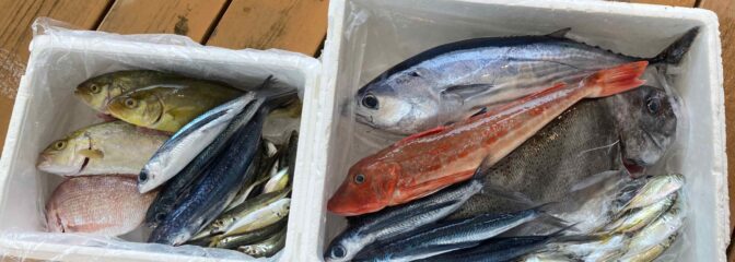 弁天屋　鮮魚BOX